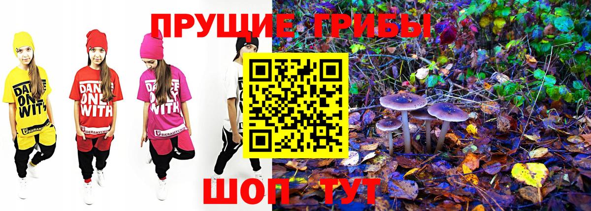 Псилоцибиновые грибы Psilocybine cubensis Фрязино