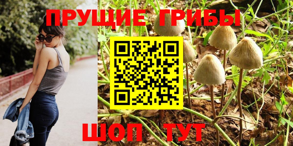 Фрязино  Псилоцибиновые грибы Magic Shrooms  Вход с VPN 